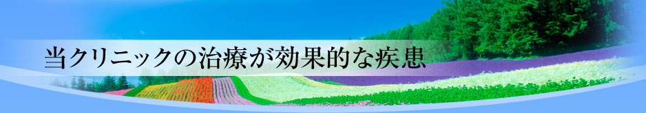 当クリニックの治療が効果的な疾患当クリニックの治療が効果的な疾患