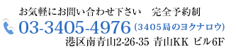 完全予約制 TEL:03-3405-4976 東京都港区南青山2-26-35青山KKビル6F 院長:班目健夫